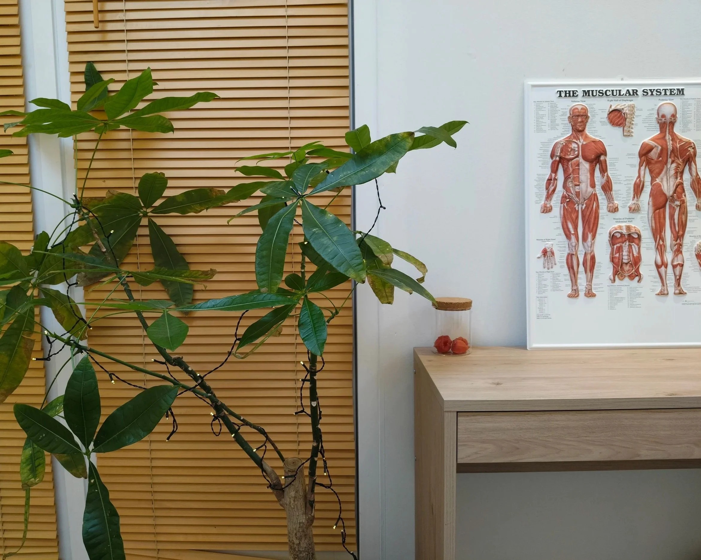 Integrativ Massageterapi atmosfære